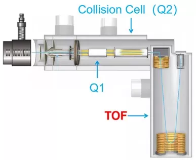 Quadrupole Time-of-Flight (Q-TOF) LC–MS